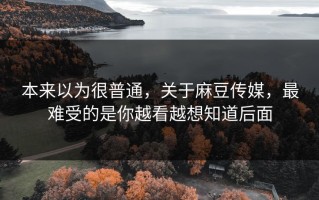 本来以为很普通，关于麻豆传媒，最难受的是你越看越想知道后面