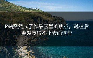 P站突然成了作品区里的焦点，越往后翻越觉得不止表面这些
