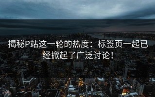 揭秘P站这一轮的热度：标签页一起已经掀起了广泛讨论！