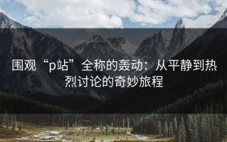 围观“p站”全称的轰动：从平静到热烈讨论的奇妙旅程