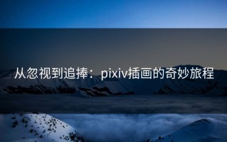 从忽视到追捧：pixiv插画的奇妙旅程