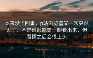 本来没当回事，p站浏览器又一次突然火了，不是谁都能第一眼看出来，但看懂之后会很上头