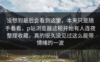 没想到最后会看到这里，本来只是随手看看，p站浏览器这轮开始有人连夜整理收藏，真的很久没见过这么能带情绪的一波