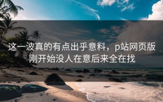 这一波真的有点出乎意料，p站网页版刚开始没人在意后来全在找