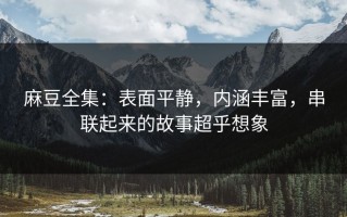 麻豆全集：表面平静，内涵丰富，串联起来的故事超乎想象