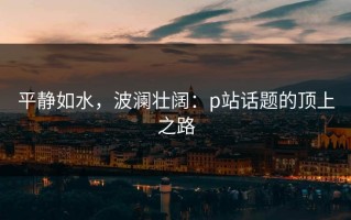 平静如水，波澜壮阔：p站话题的顶上之路