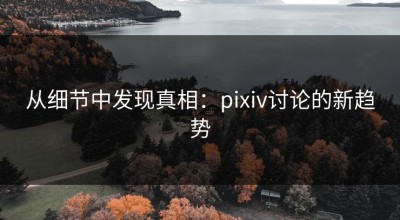 从细节中发现真相：pixiv讨论的新趋势