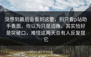 没想到最后会看到这里，别只看p站助手表面，你以为只是边角，其实恰好是突破口，难怪这两天总有人反复提它