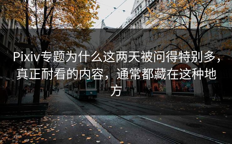 Pixiv专题为什么这两天被问得特别多，真正耐看的内容，通常都藏在这种地方-第1张图片-p站搬运工影视库 - p站助手短剧集