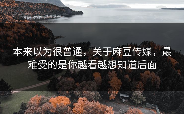 本来以为很普通，关于麻豆传媒，最难受的是你越看越想知道后面-第1张图片-p站搬运工影视库 - p站助手短剧集