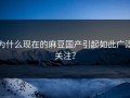 为什么现在的麻豆国产引起如此广泛关注？