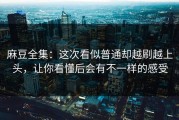 麻豆全集：这次看似普通却越刷越上头，让你看懂后会有不一样的感受