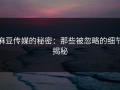 麻豆传媒的秘密：那些被忽略的细节揭秘