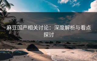 麻豆国产相关讨论：深度解析与看点探讨
