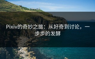 Pixiv的奇妙之旅：从好奇到讨论，一步步的发酵