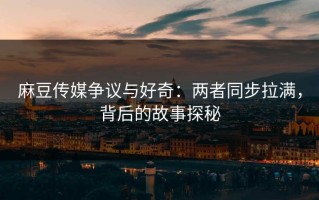 麻豆传媒争议与好奇：两者同步拉满，背后的故事探秘
