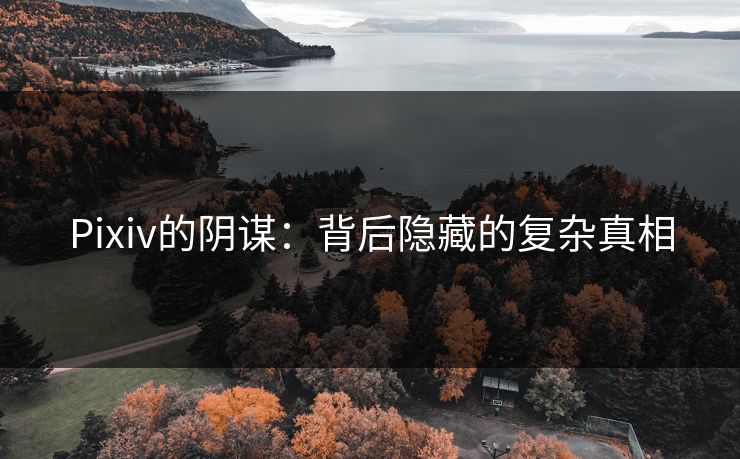 Pixiv的阴谋：背后隐藏的复杂真相-第1张图片-p站搬运工影视库 - p站助手短剧集