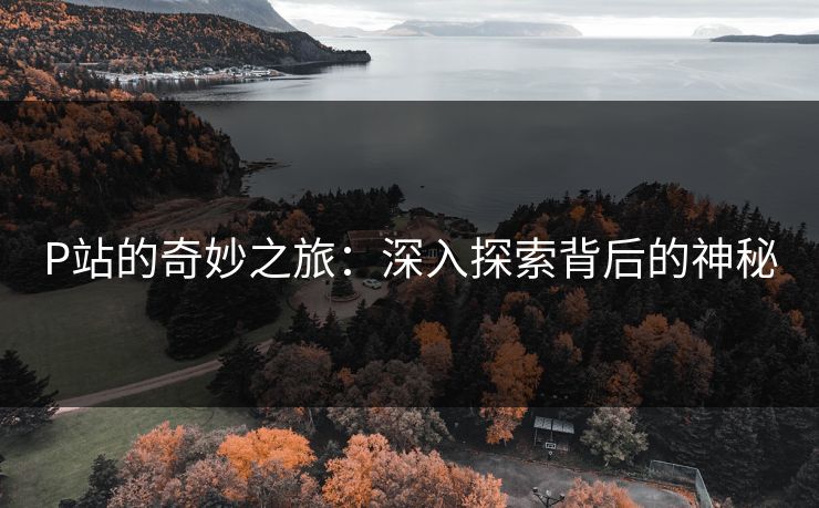 P站的奇妙之旅:深入探索背后的神秘-第1张图片-p站搬运工影视库 - p站助手短剧集 P站的奇妙之旅:深入探索背后的神秘-第1张图片-p站搬运工影视库 - p站助手短剧集